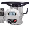 Rotork Actuator IQ Mk3 – JGCS Consortium